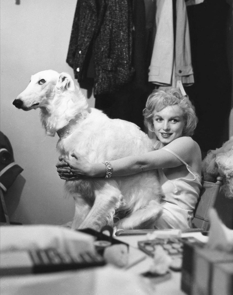 Marilyn Monroe with dog, photo by Richard Avedon