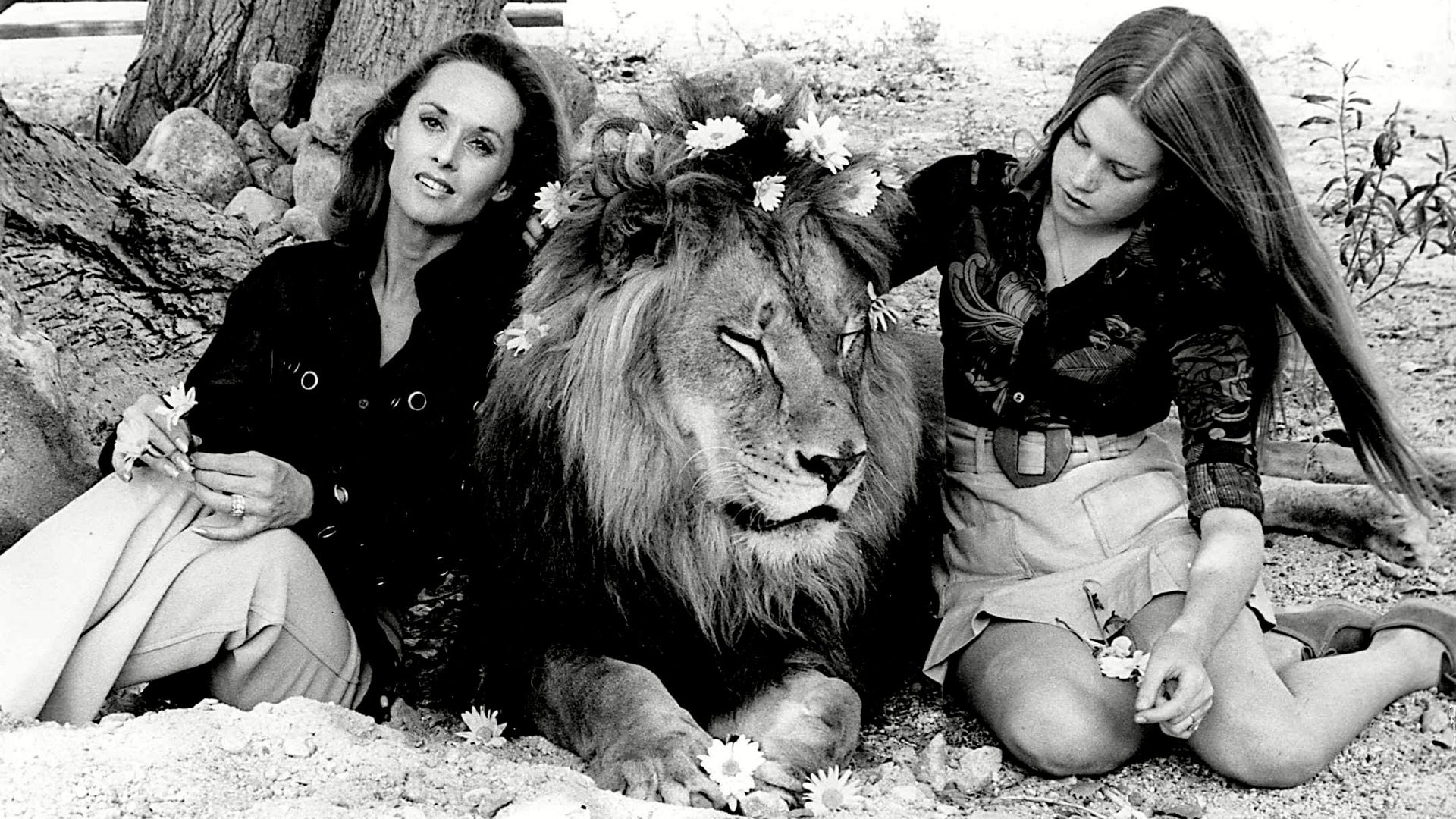 Tippi Hedren and her daughter Melanie Griffith with a lion