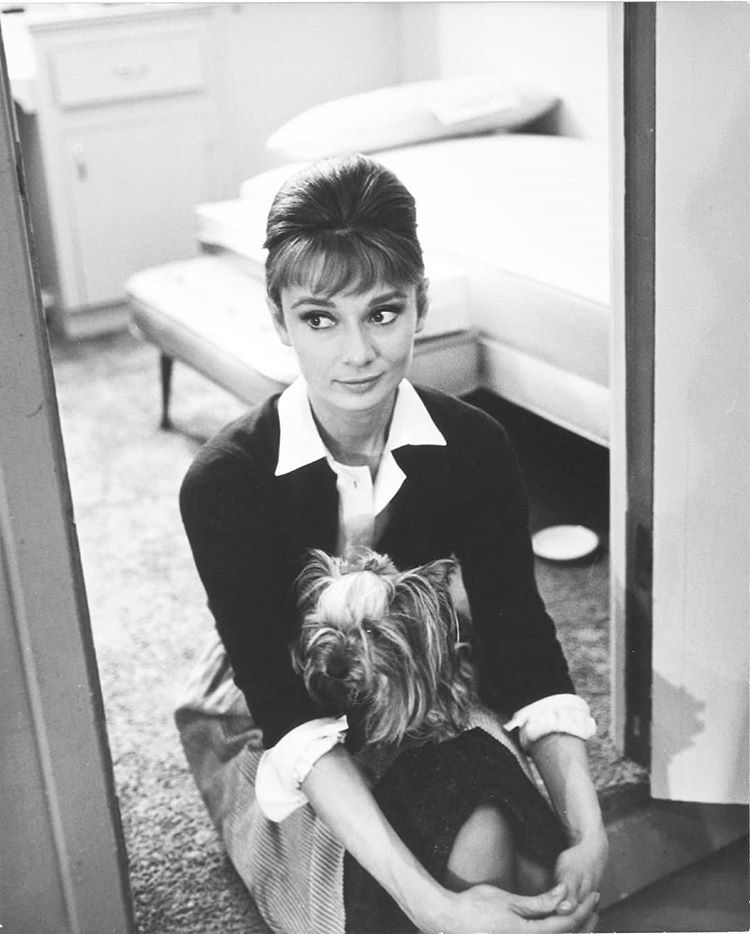 Elegant style icon wardrobe essentials: Audrey Hepburn in cardigan sweater, on the set of film The Children's Hour