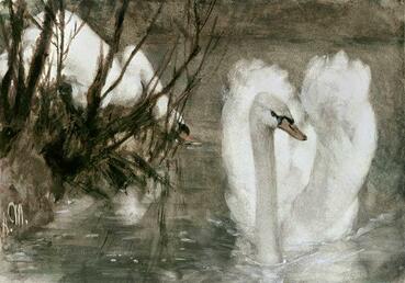 Two swans (Deux cygnes)nby Adolph von Menzel