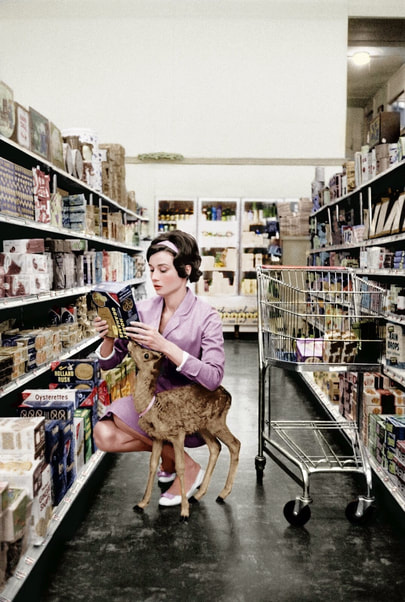 Audrey Hepburn grocery shopping wither pet deer Pippin. 1958