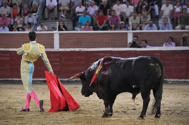 A Spanish bullfighter (matador/torero) in bolero jacket