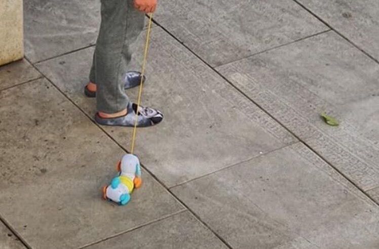 A man walking a stuffed dog, as walking your dog is still allowed in Spain after lockdown