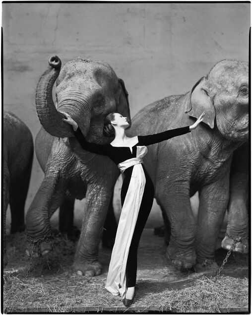 Dovima with elephants by Richard Avedon, Harper's Bazzar, September 1955