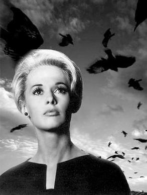 Tippi Hedren in film The Birds by Alfred Hitchcock